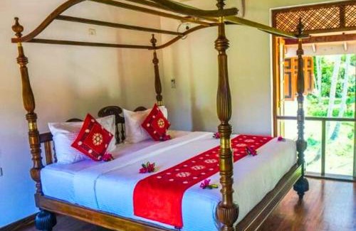 Kandy Hotel | Avenue 38