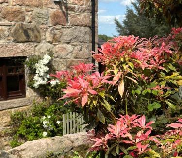 Inverurie Bed & Breakfast | Awakening Alchemy Retreat Centre