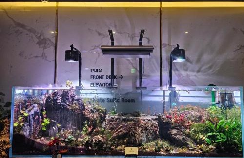 Gwangju Hotel | Awesome Boutique Hotel