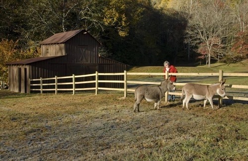 Andrews House | Awesome Cottage, Views, Waterfalls, Cute animals, streams, privacy, easy access