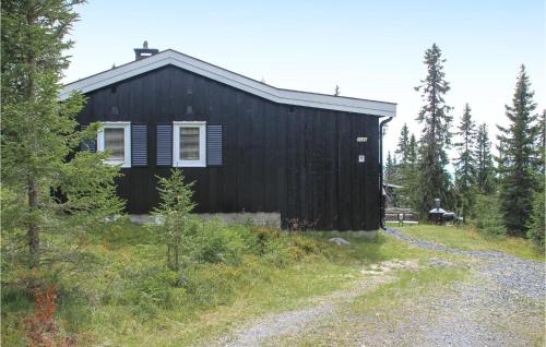 Sjusjoen House | Awesome Home In Sjusjøen With Wifi