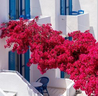 Paros Hotel | Ayeri Hotel