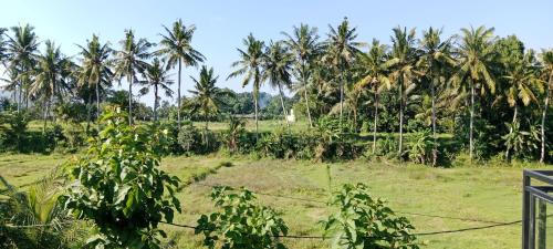 Melayang Bed & Breakfast | Ayuna Cottages