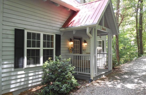 Blairsville House | Azalea Cabin With Fireplace & Huge Back Porch