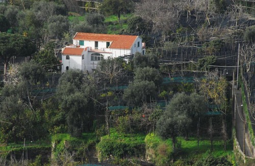 Piano di Sorrento Apartment | Azienda Agricola Veniero