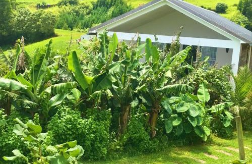 Nordeste House | Azores Casa Hawaii
