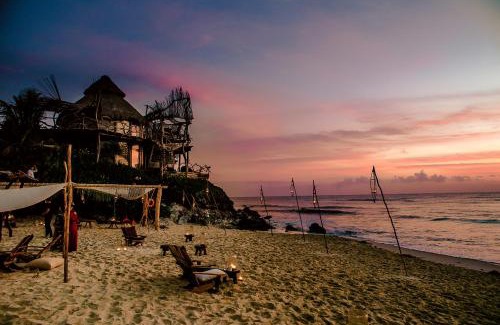 Playa Paraiso Hotel | Azulik - Adults Only