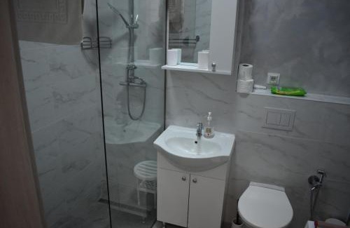 Sanmartin Apartment | Băile Felix ap Livia