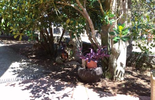 Nuoro Bed & Breakfast | B&B Bene Bennios IUN F1441
