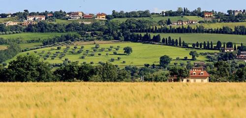 Potenza Picena Bed & Breakfast | B&B Centro Ippico Andrea