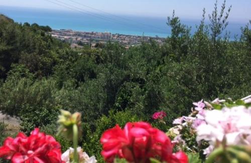 Praia a Mare Bed & Breakfast | B&B dei Fiori