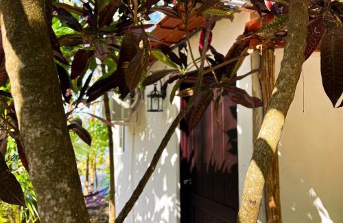 Flores Cabin | B&B Del Lago