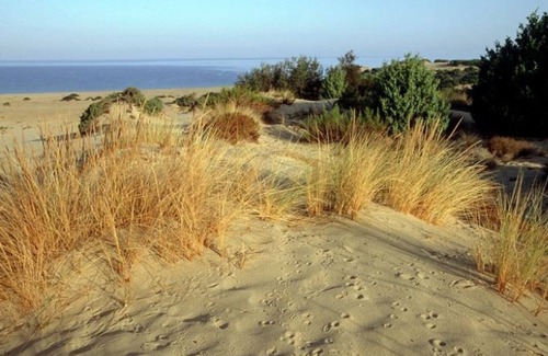 Arbus Bed & Breakfast | B&B DomuCorona holiday home