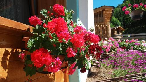 Cavalese Bed & Breakfast | B&B El Molin