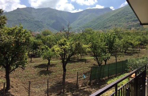 Corbara Bed & Breakfast | B & B Evergreen