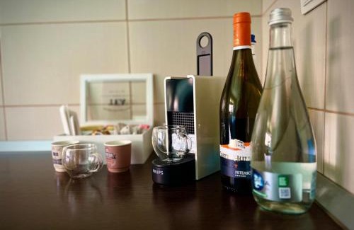 Obreja Apartment | B&B House