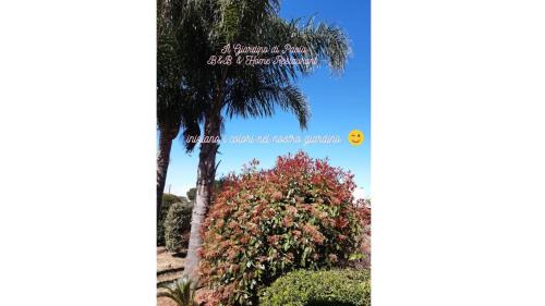 Alliste Bed & Breakfast | B&B Il Giardino di Paola