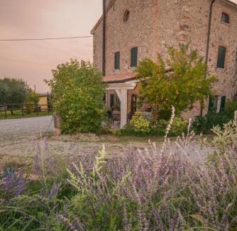 Colà Di Lazise Bed & Breakfast | B&B il mio Casale