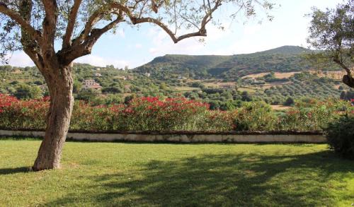 Alghero Bed & Breakfast | B&B Kapì Country