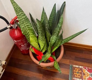 Bagnacavallo Bed & Breakfast | B&B La Chiocciola