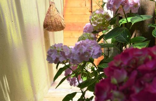 Savio Bed & Breakfast | B&B Lady Cocca
