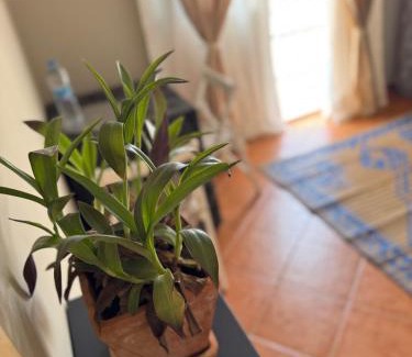 Sal Rei Bed & Breakfast | B&B Mi Ma Bo, Sal Rei, Boa Vista, Cape Verde, FREE WI-FI