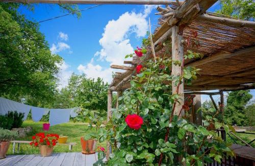 Castel San Pietro Terme Bed & Breakfast | B&B Parco dei cavalli