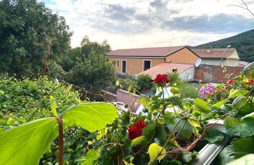 Teulada Bed & Breakfast | B&B Su Tostainu