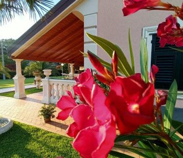 Casarza Ligure Bed & Breakfast | B&B Terra Di Liguria