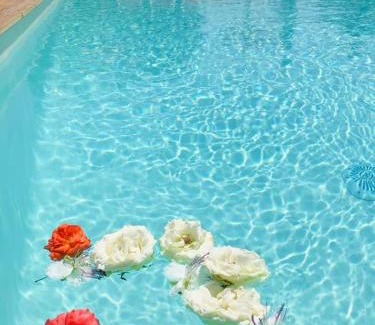 Il Monte Bed & Breakfast | B&B Villa Jonica