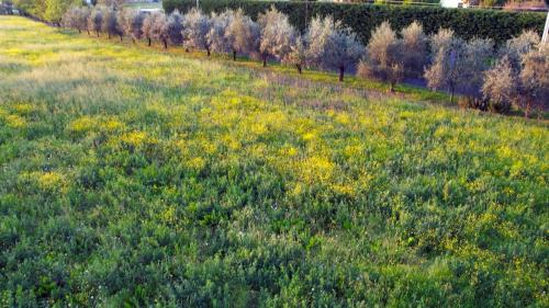 Imola Bed & Breakfast | B&B Zvana's - Da Giovanna