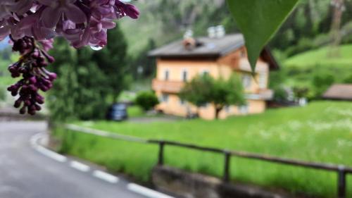 Predazzo Bed & Breakfast | B&BeautyFol Dolomites B&B adults only