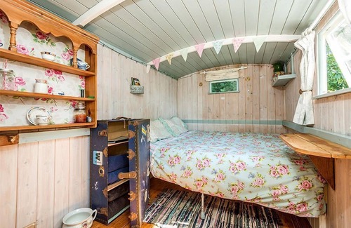 Whitchurch Canonicorum House | Baabara - Shepherds Hut - in Paddock with Alpacas & Sheep - Spa & Indoor Pool