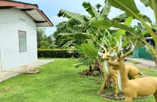 Kathu Villa | Baan Bonsuan Hill Guesthouse