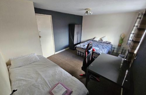 Bolton House | Babo room