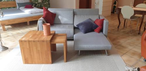 Weisenau Apartment | Bacchus - helles und geräumiges Appartement mit Balkon in Uninähe