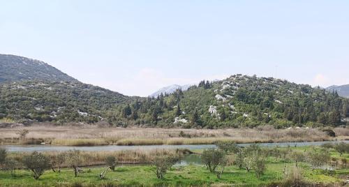 Ploce Apartment | Bacina Dream