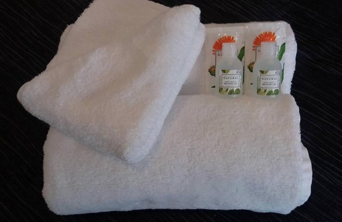 Fenton Street Hotel | Baden Lodge Motel