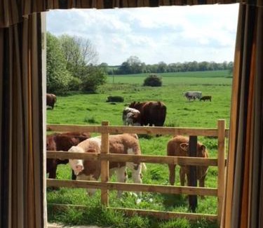 Horncastle Apartment | Bainvalley Cottages - The Shamba, sleeps 4
