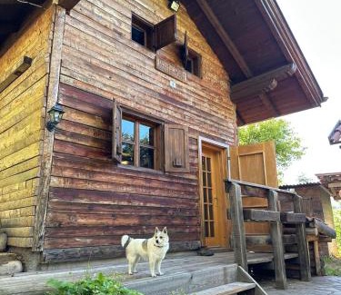 Pergine Valsugana Ski Chalet | Baita al sole