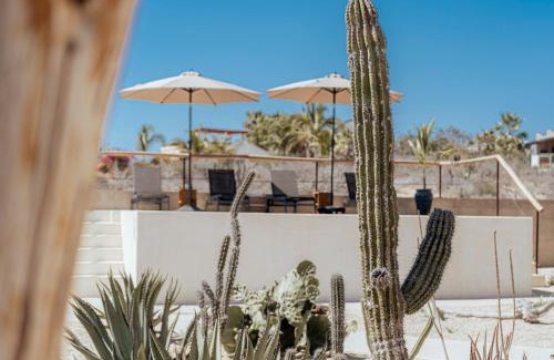 Todos Santos Hotel | Baja Temple