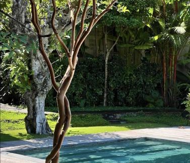 Batu Bolong House | Bajalo Cottage Canggu - Adults only