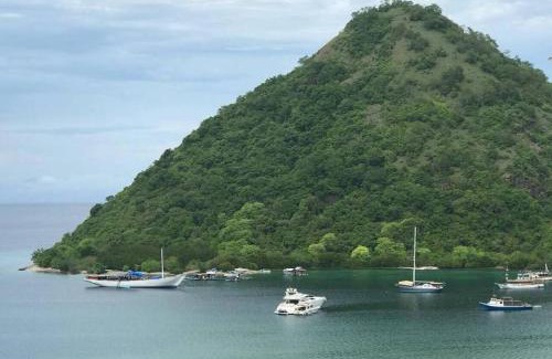 Labuan Bajo House | Bajo Hotel
