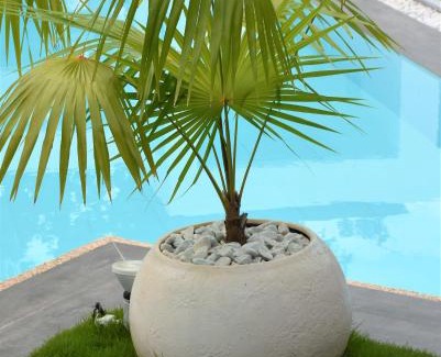 Danao Villa | Balai Cinta