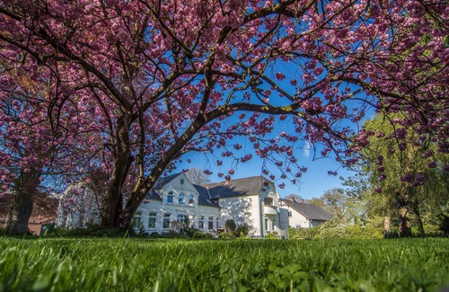 Mohrkirch Apartment | Balcony apartment - Ferienhof Baustrup