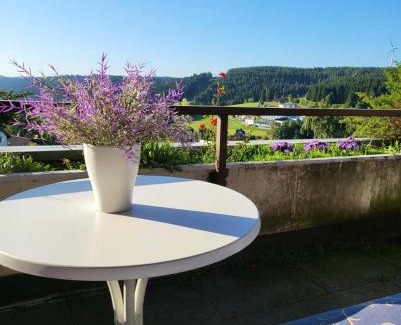 Schonach im Schwarzwald Apartment | Balcony-Apartment in Schonach center