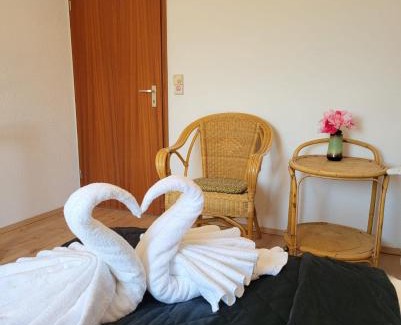 Schonach im Schwarzwald Apartment | Balcony-Apartment in Schonach center