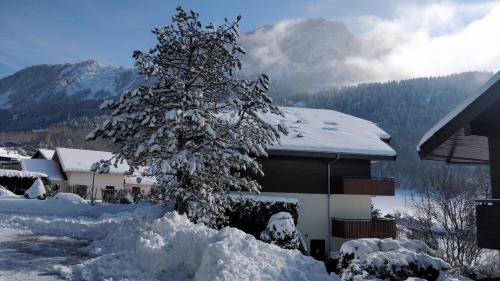 Thollon-les-Memises Apartment | Balcony of lake Geneva