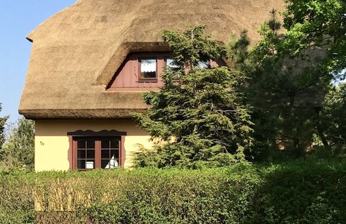 Wieck auf dem Darss House | Baltic Sea, large country house with thatched roof, 6 pers., quiet location, family-friendly