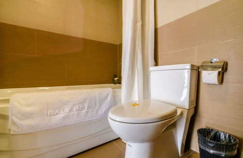 Hue City Centre Hotel | Baly Hotel